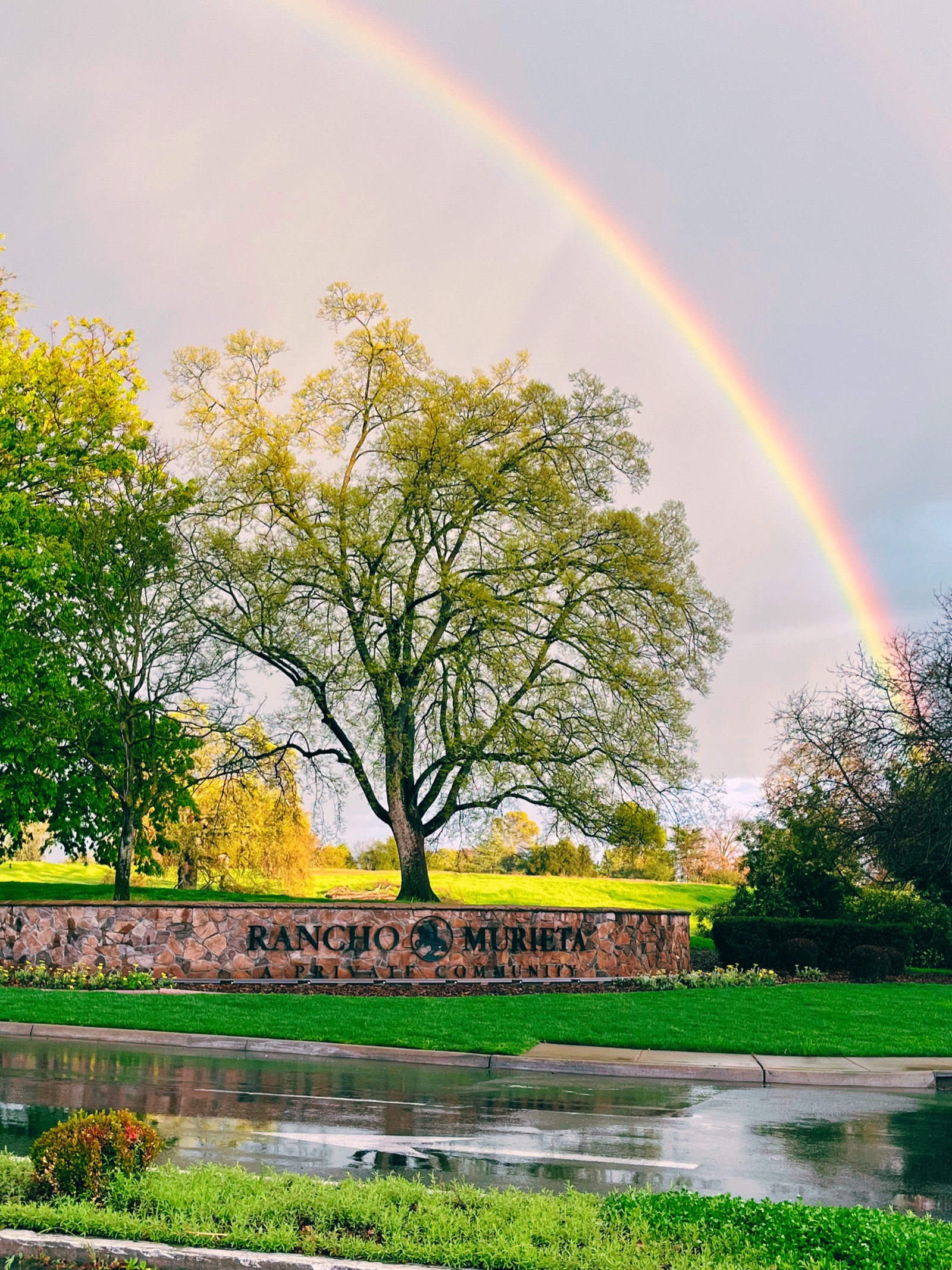 The Rancho Murieta entrance sign under a rainbow, framed by an oak tree