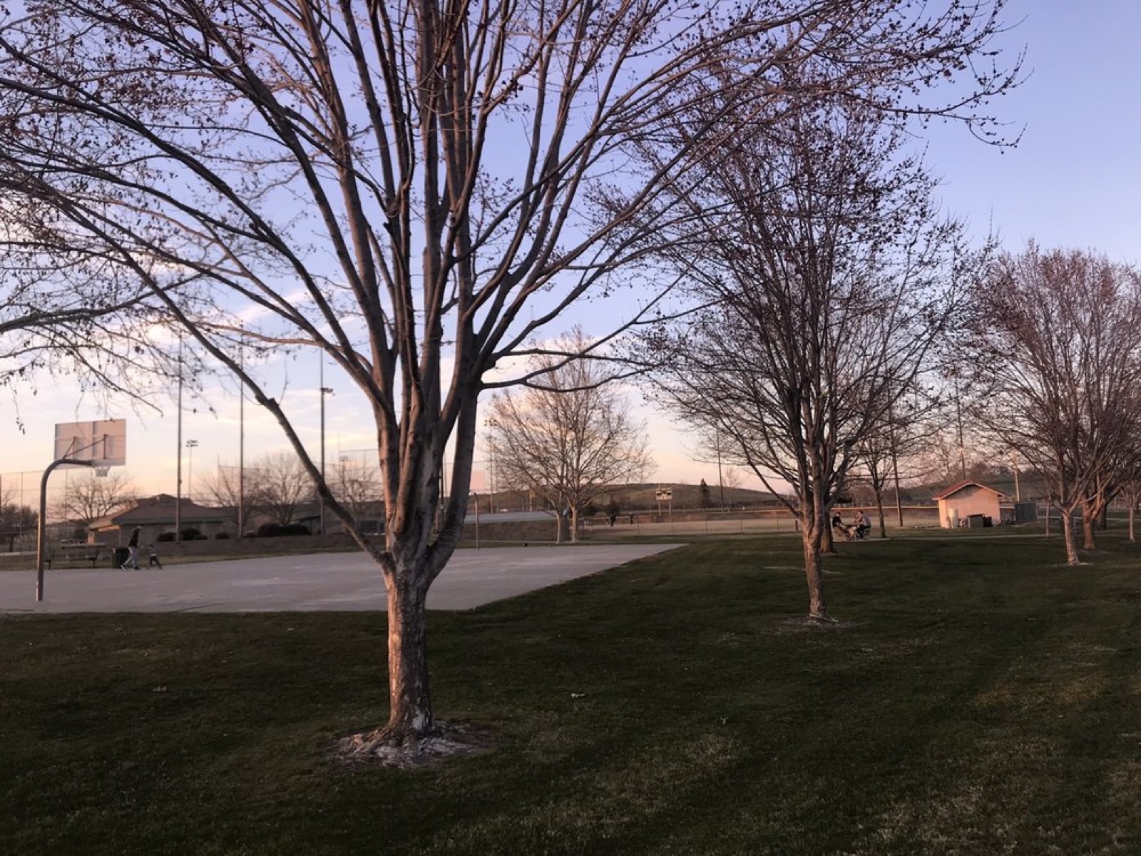Stonehouse Park at sunset, with a basketball hoop and open field